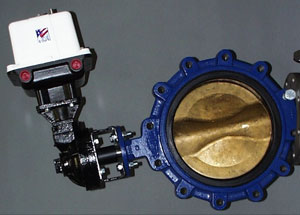 butterfly valves