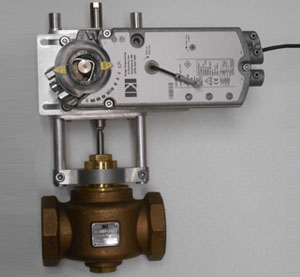 Globe Valves